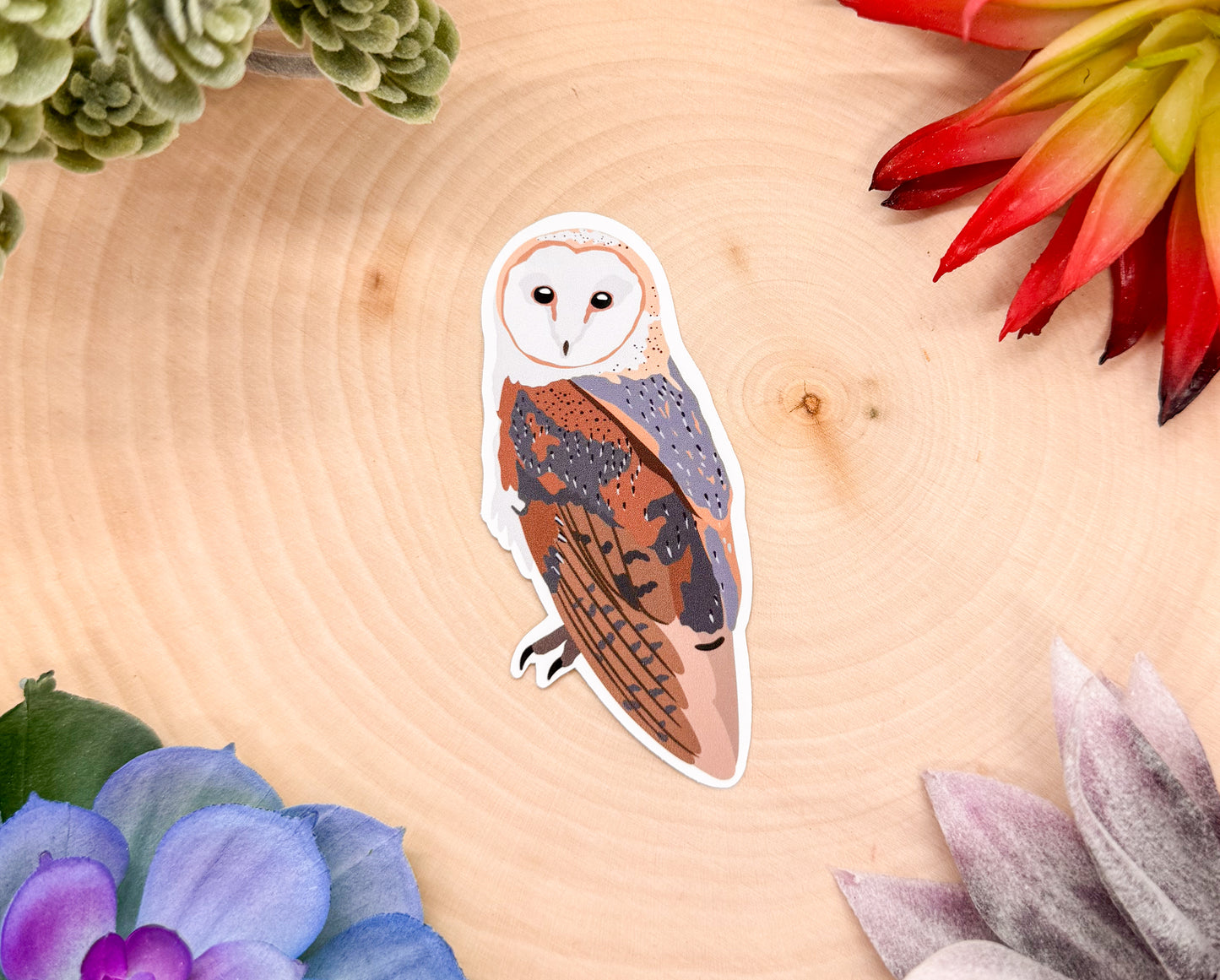 Barn Owl Sticker