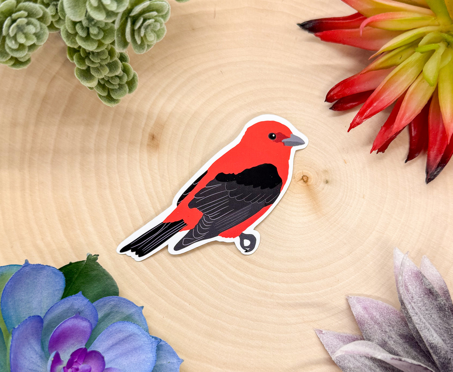Scarlet Tanager Sticker