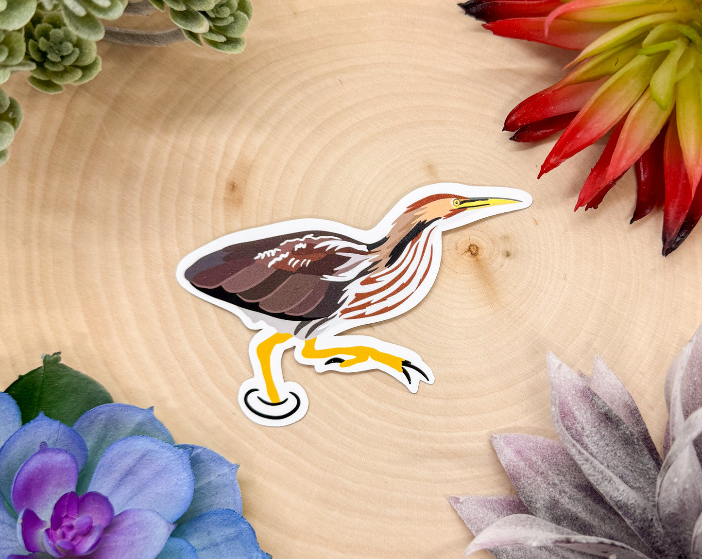 American Bittern Sticker