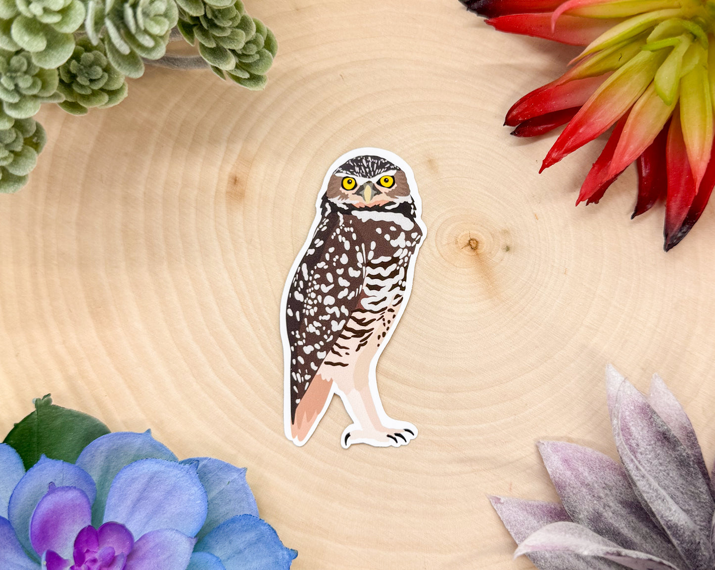 Burrowing Owl Sticker