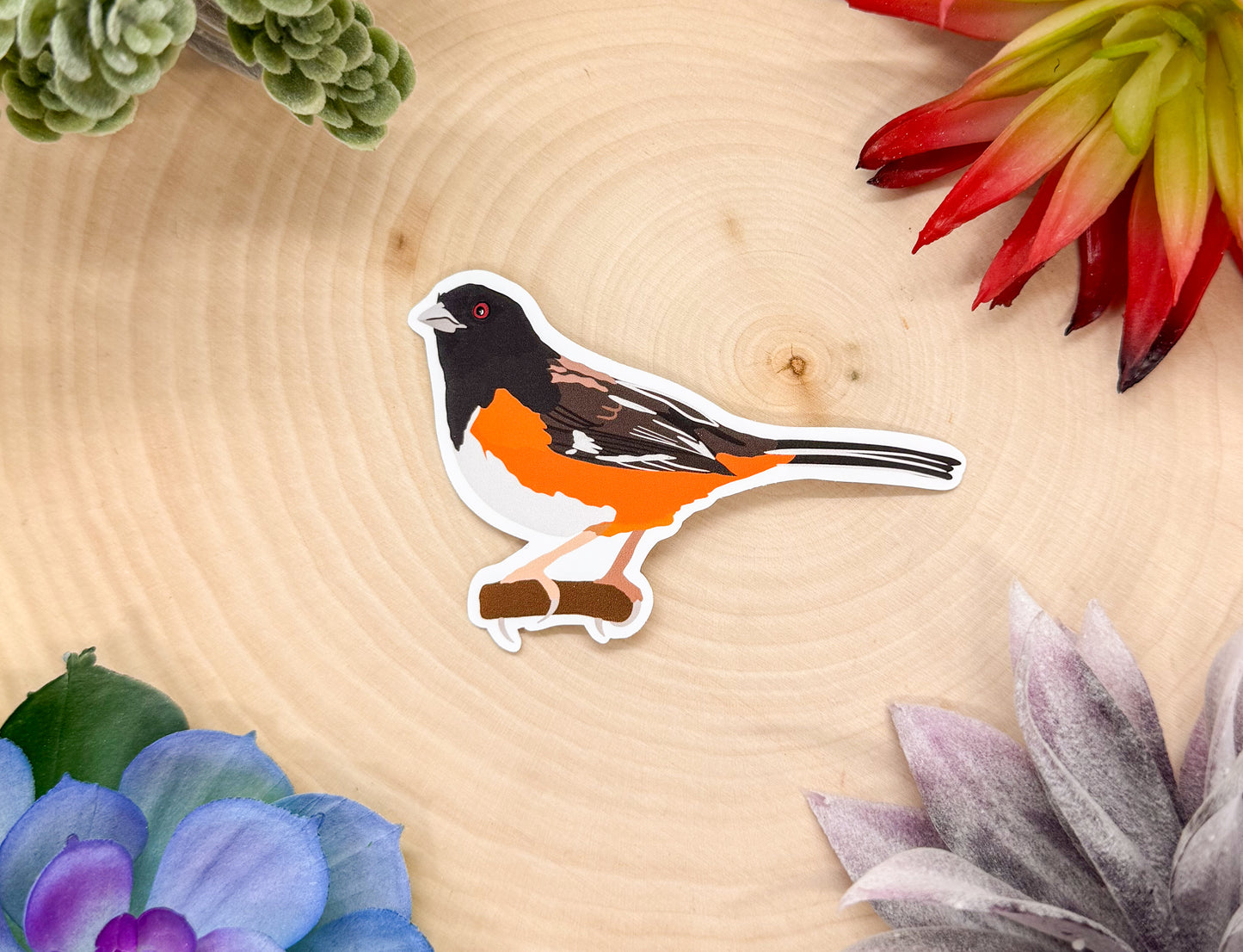 Eastern Towhee Sticker