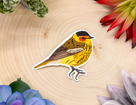 Cape May Warbler Sticker