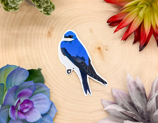 Tree Swallow Sticker
