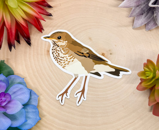 Gray Cheeked Thrush Sticker