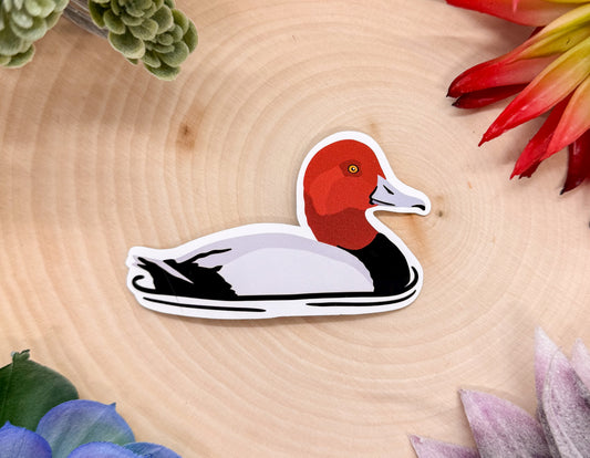 Redhead Duck Sticker
