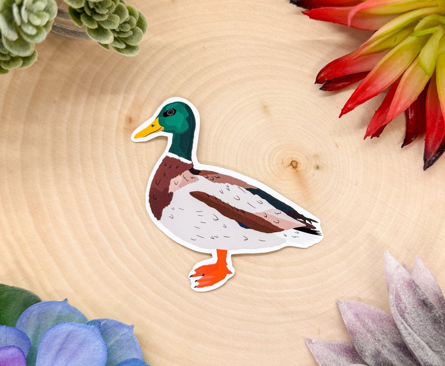 Mallard Sticker