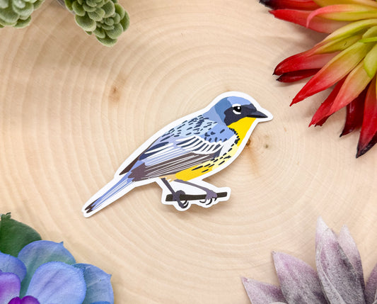 Kirtland's Warbler Sticker