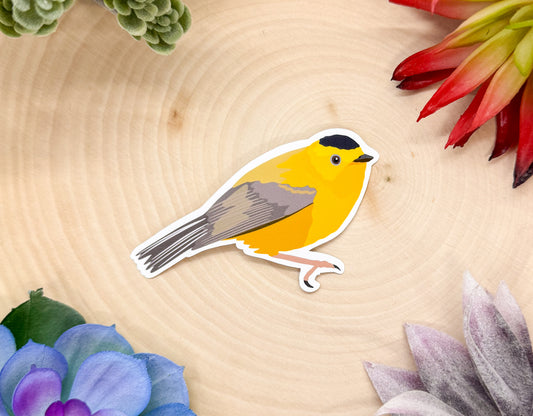 Wilson's Warbler Sticker