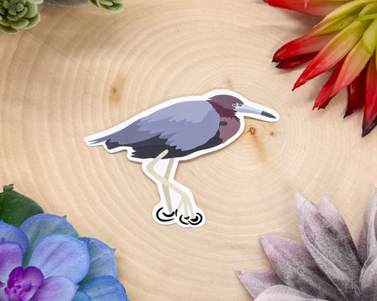 Little Blue Heron Sticker