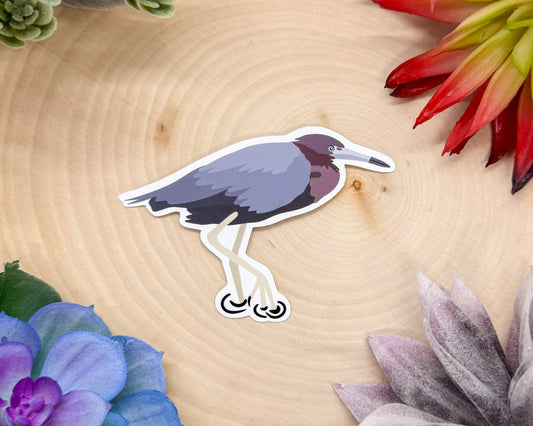 Little Blue Heron Sticker