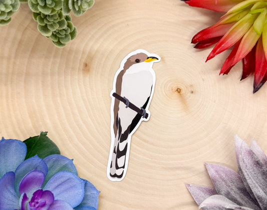 Yellow Billed Cuckoo Sticker