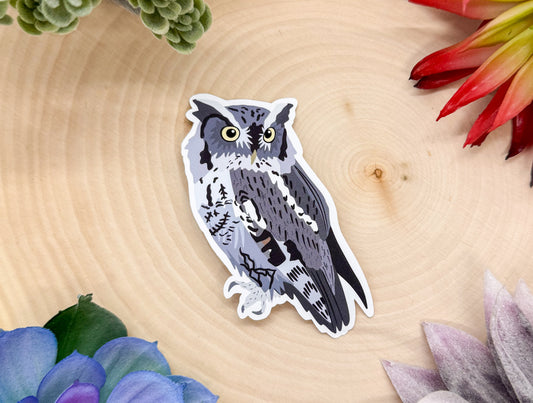 Eastern Screech Owl Sticker