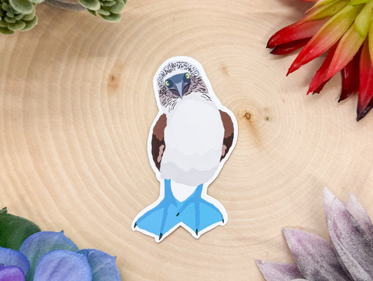 Blue Footed Booby Sticker