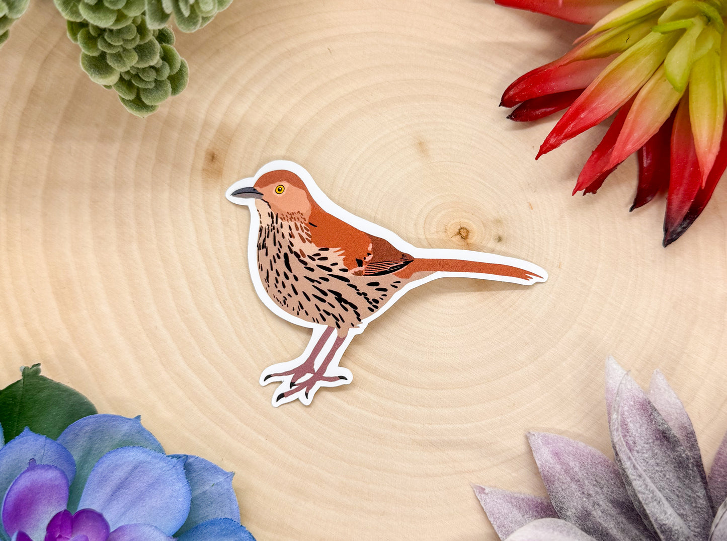 Brown Thrasher Sticker