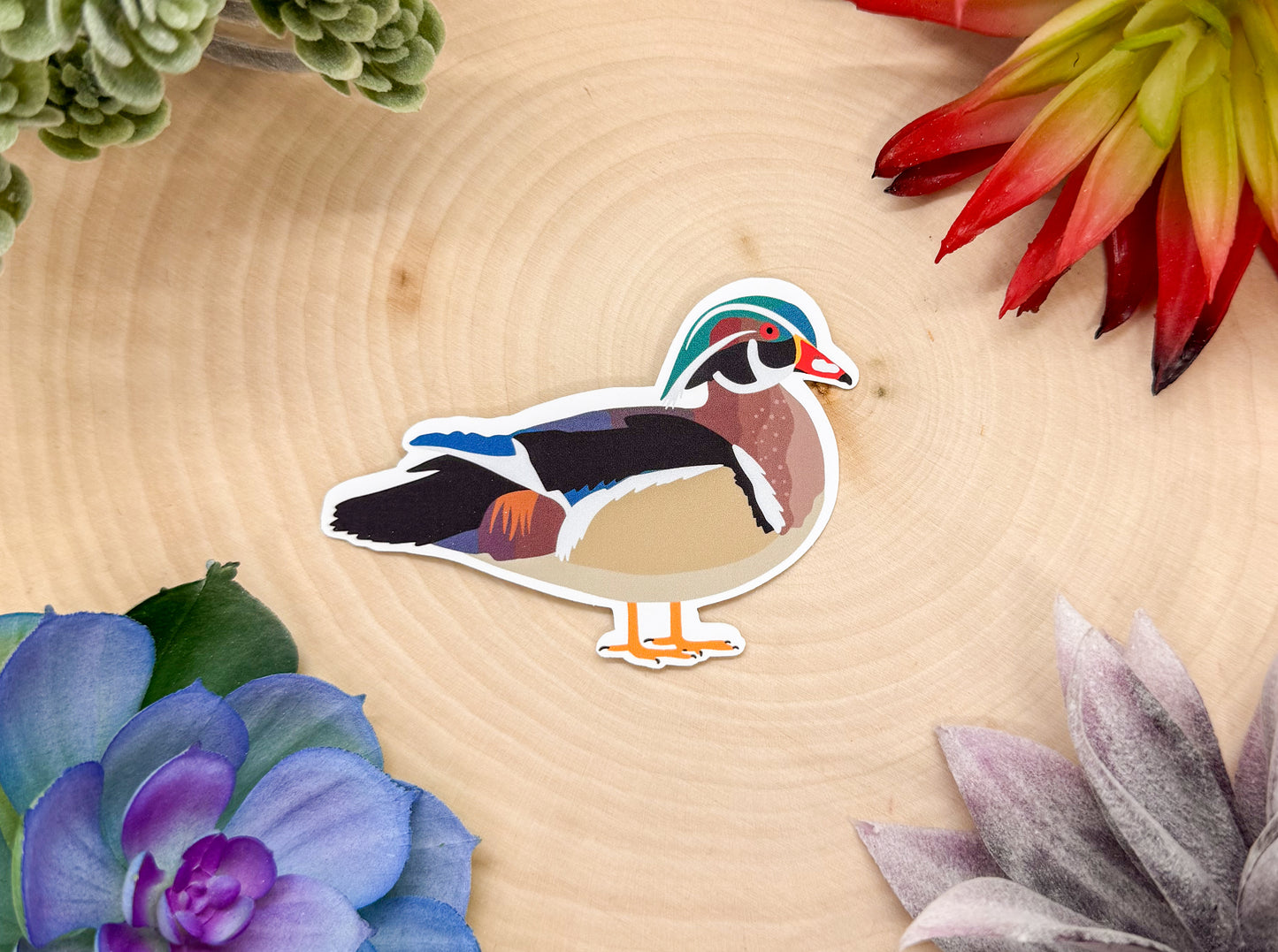 Wood Duck Sticker