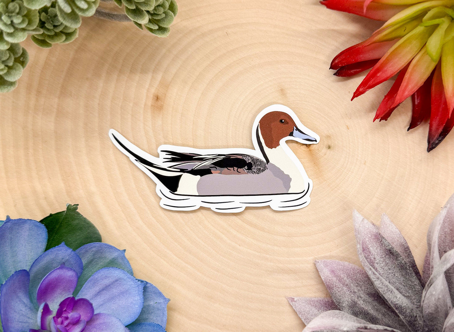 Pintail Duck Sticker