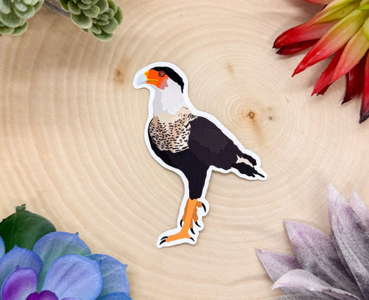 Crested Caracara Sticker