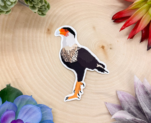Crested Caracara Sticker