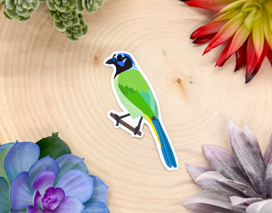 Green Jay Sticker
