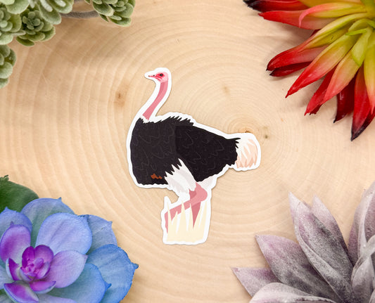 Ostrich Sticker