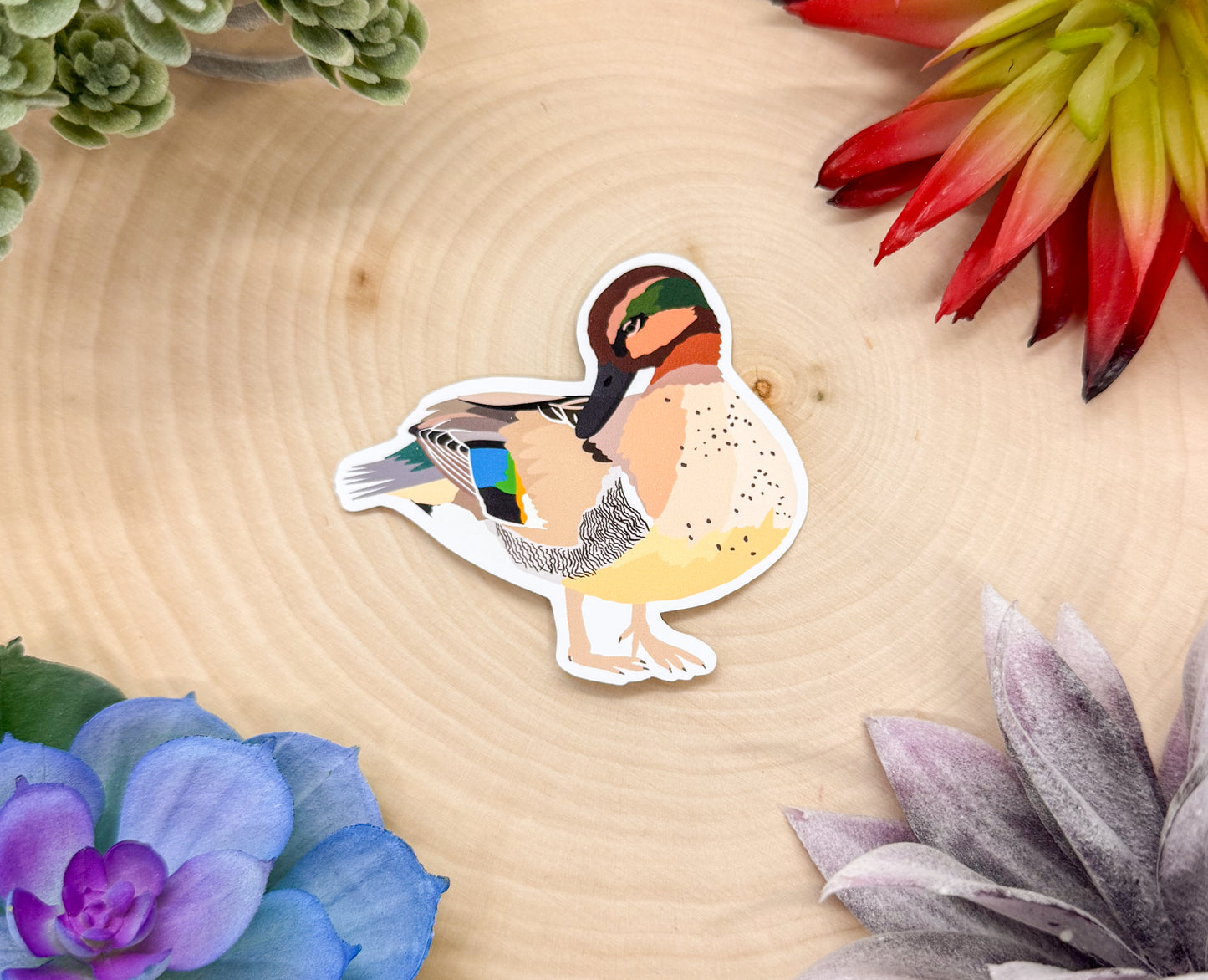 Green Winged Teal Sticker