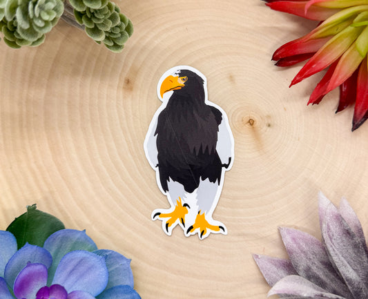 Steller's Sea Eagle Sticker