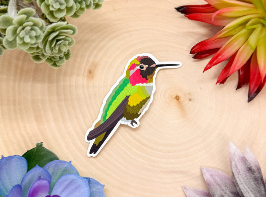 Anna's Hummingbird Sticker