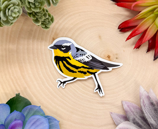 Magnolia Warbler Sticker