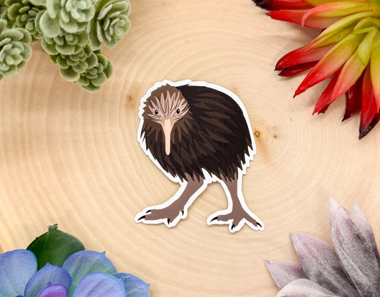 Kiwi Sticker