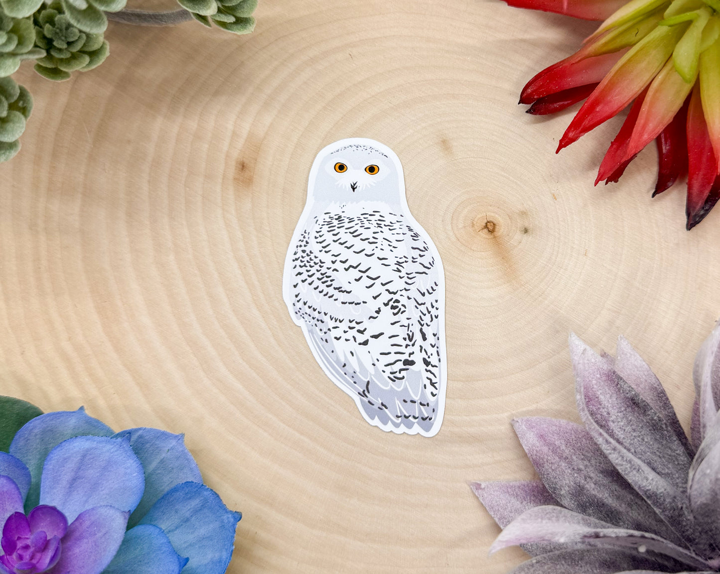 Snowy Owl Sticker