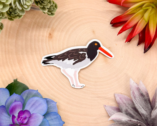 Oystercatcher Sticker