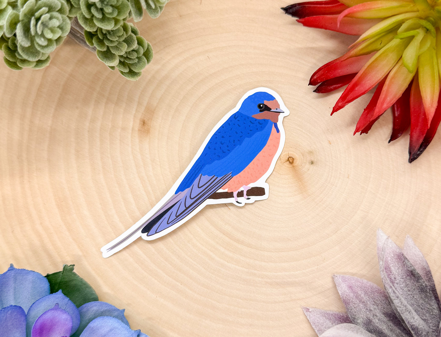 Barn Swallow Sticker