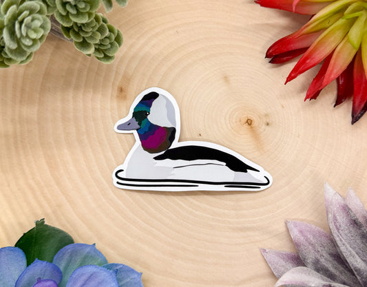 Bufflehead Sticker