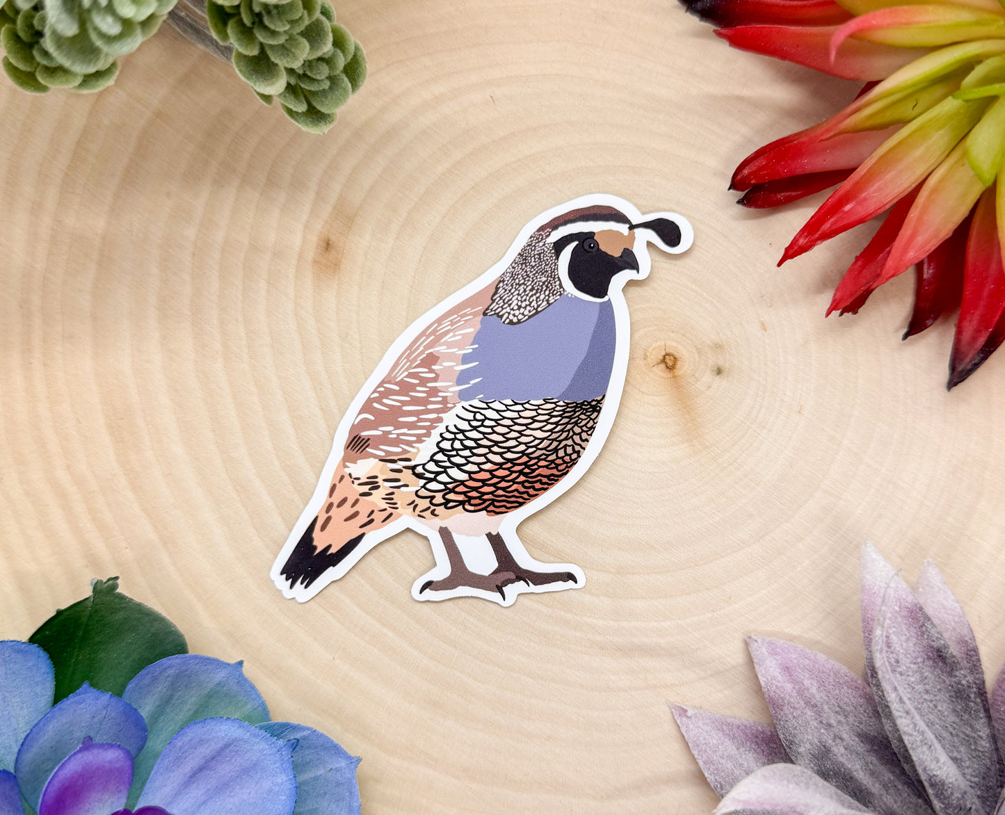 California Quail Sticker