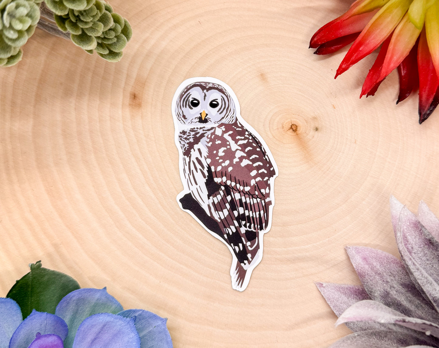 Barred Owl Sticker
