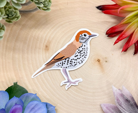 Wood Thrush Sticker