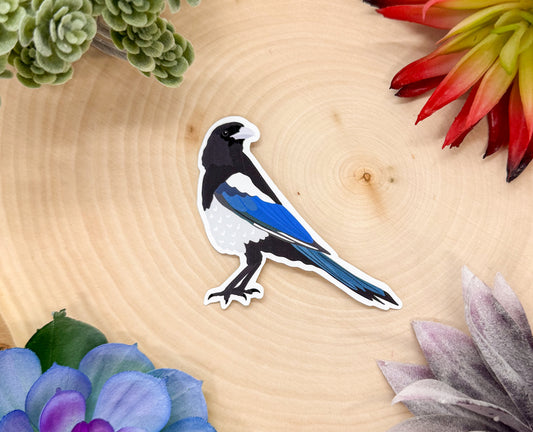 Black Billed Magpie Sticker