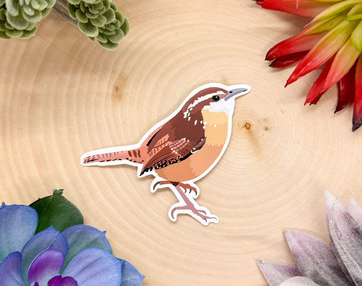 Carolina Wren Sticker