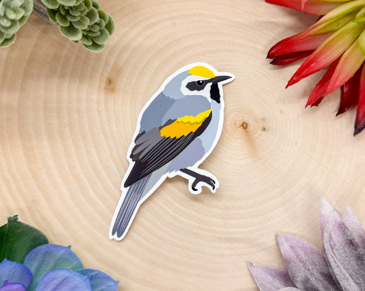 Golden Winged Warbler Sticker