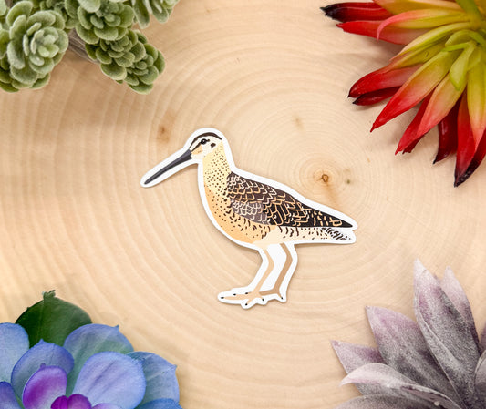 Dowitcher Sticker