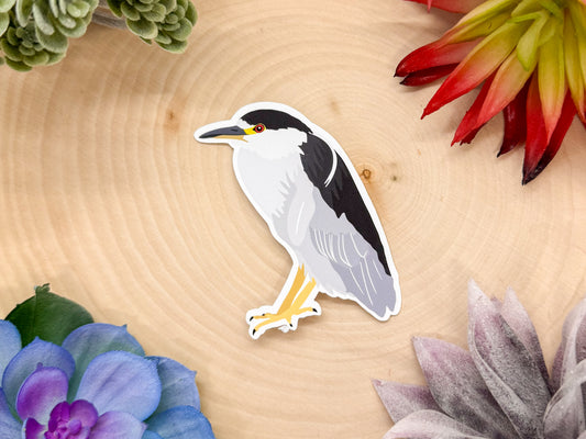 Black Crowned Night Heron Sticker