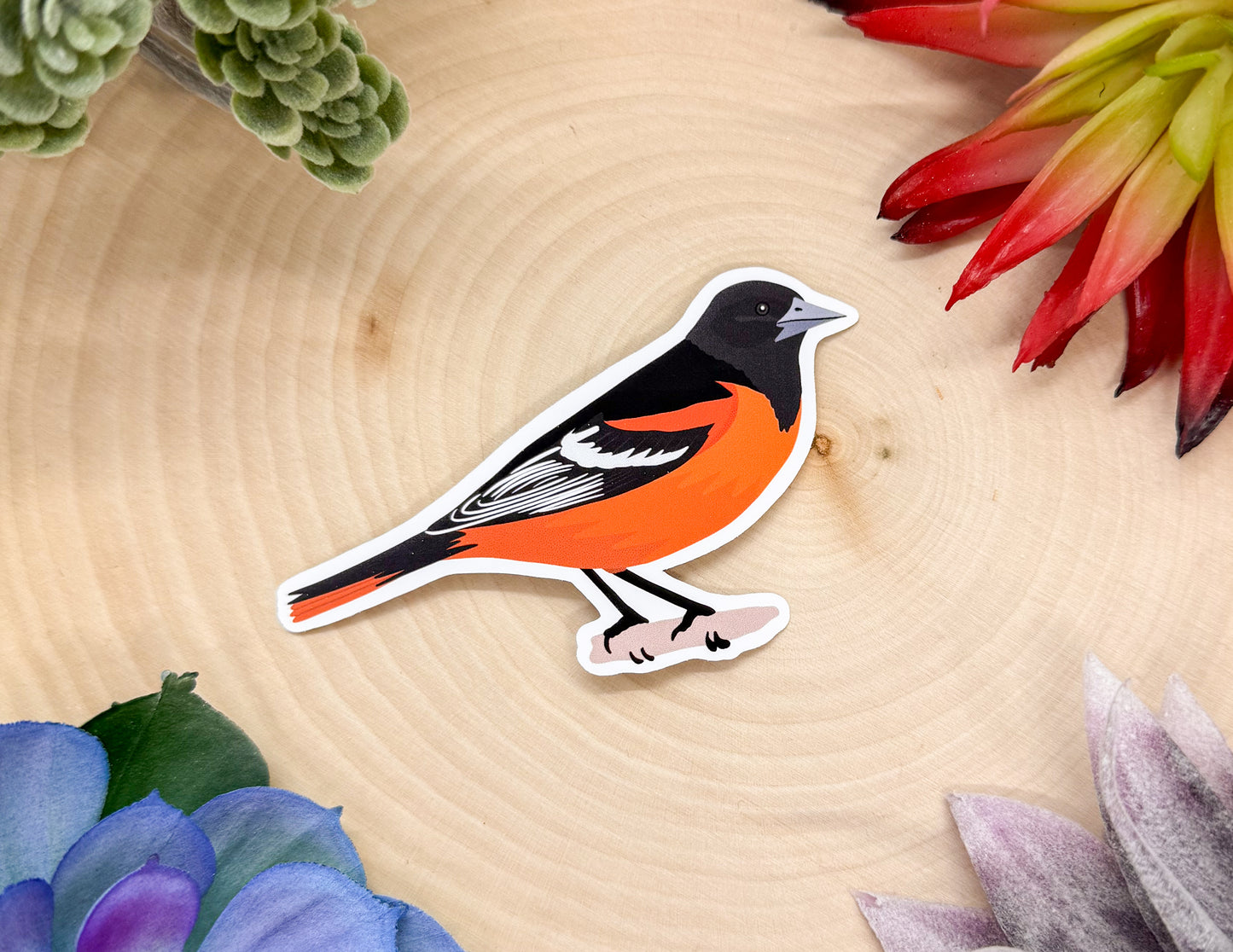 Baltimore Oriole Sticker