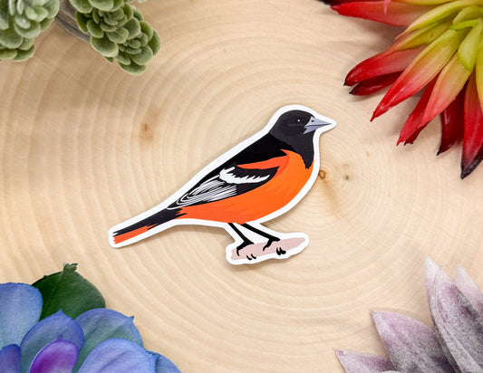 Baltimore Oriole Sticker