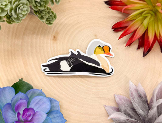 King Eider Sticker