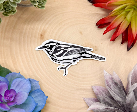 Black And White Warbler Sticker
