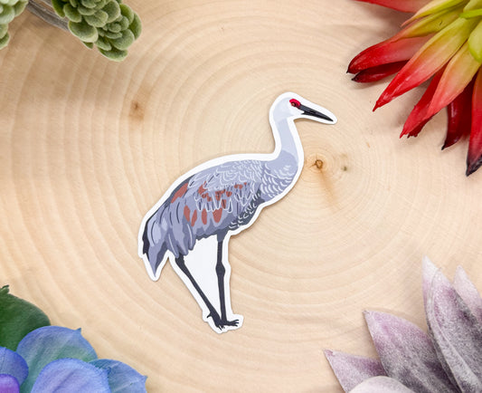Sandhill Crane Sticker