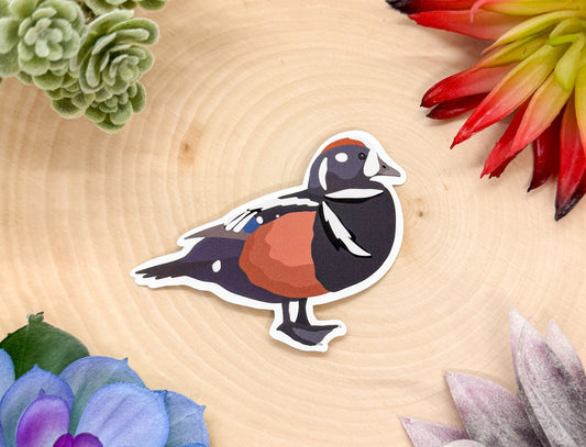 Harlequin Duck Sticker