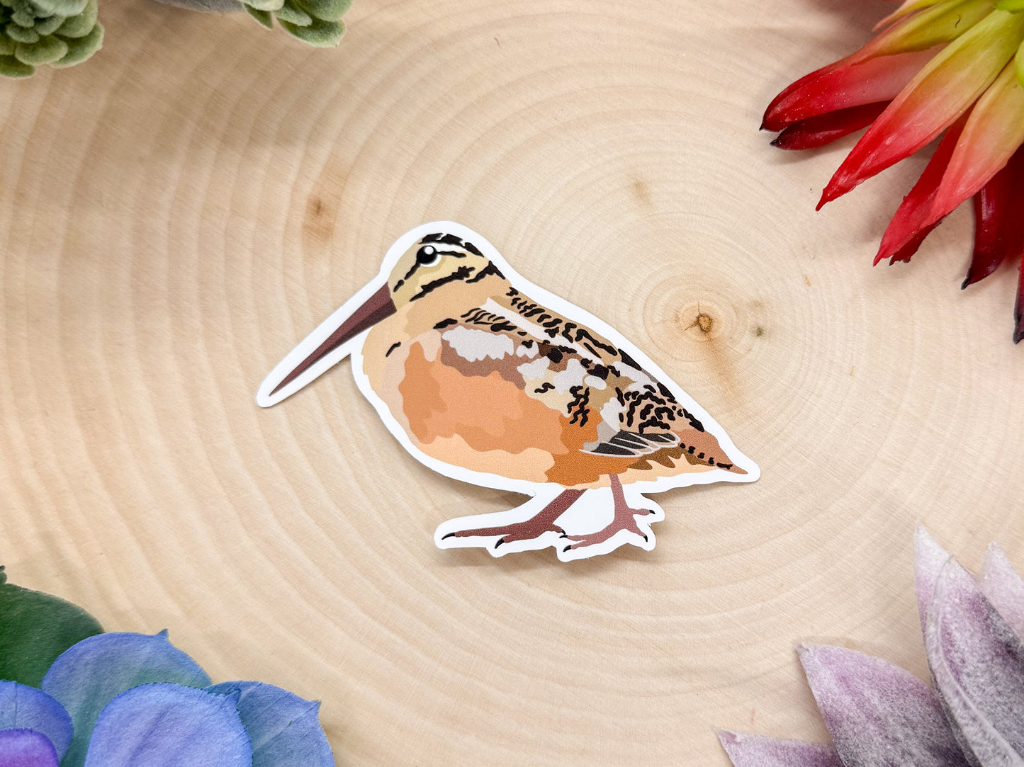 American Woodcock Sticker