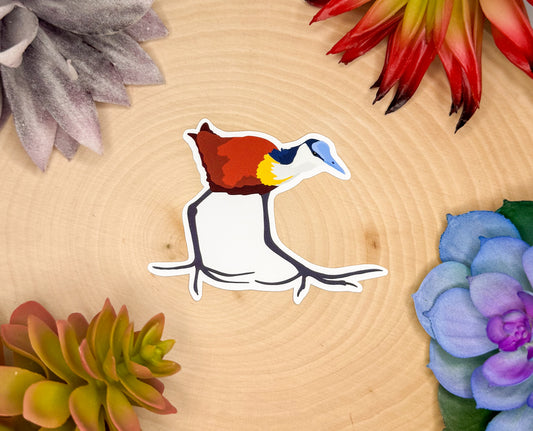 African Jacana Sticker