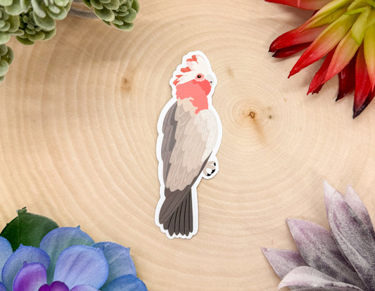 Galah Sticker